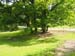 045-oaks in a circle