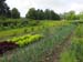 051-school farm